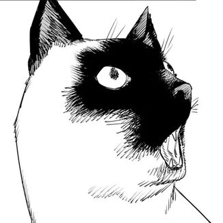 Chainsaw Man Manga Chapter 102 (Save the Cat) cover