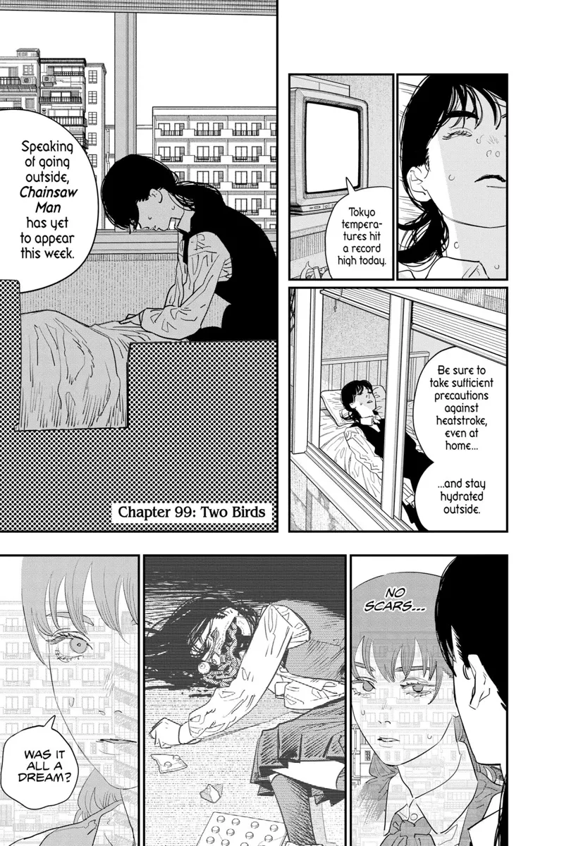 Chainsaw Man Manga Chapter 99 page 1 - Two Birds scene