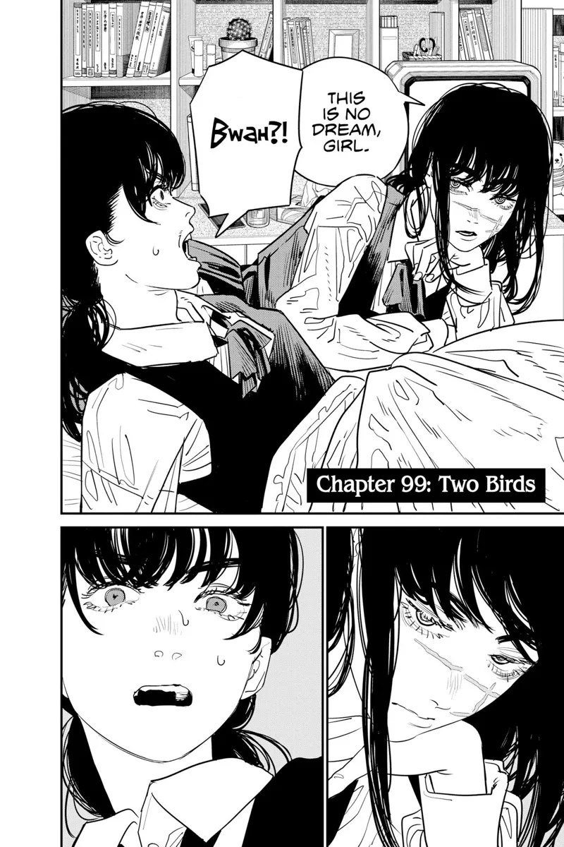 Chainsaw Man Manga Chapter 99 page 2 - Two Birds scene